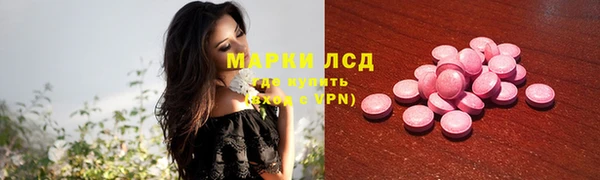 шишки Армянск