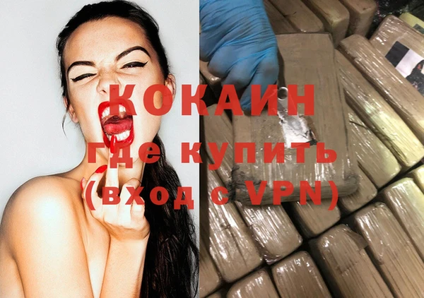 гашик Балахна