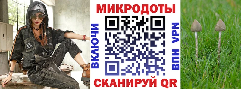 Псилоцибиновые грибы Psilocybine cubensis  что такое   Корсаков 