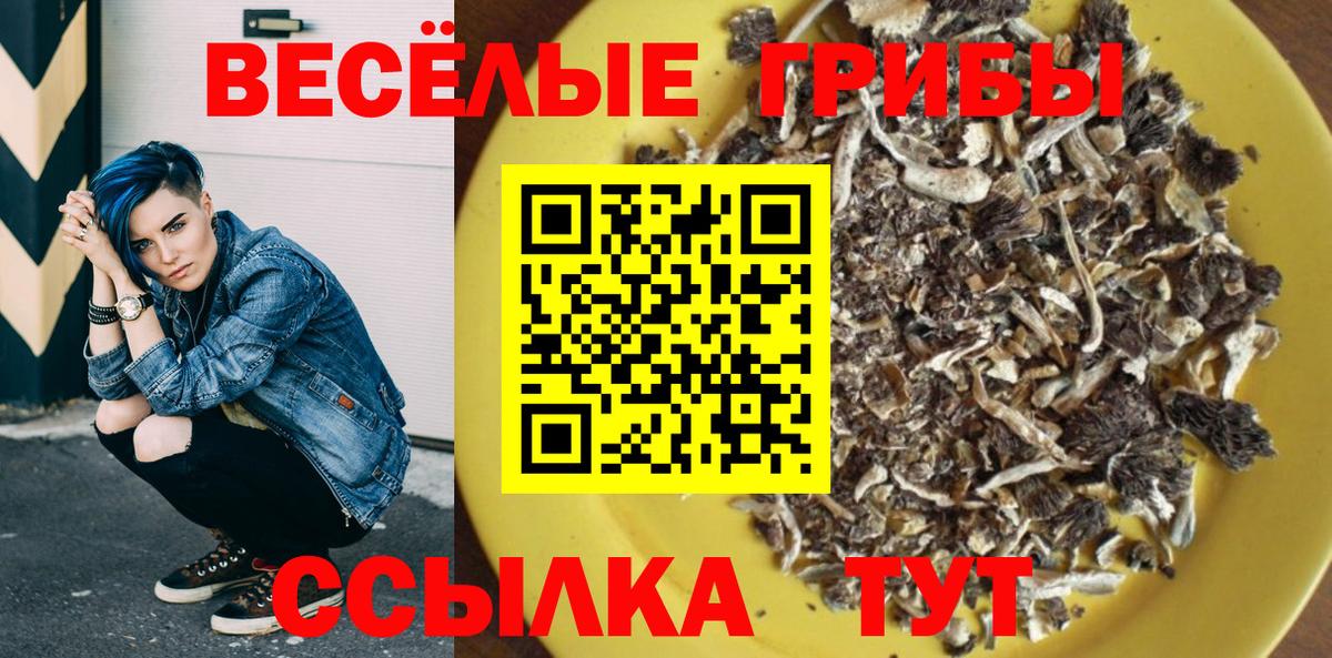 Галлюциногенные грибы Psilocybe Корсаков